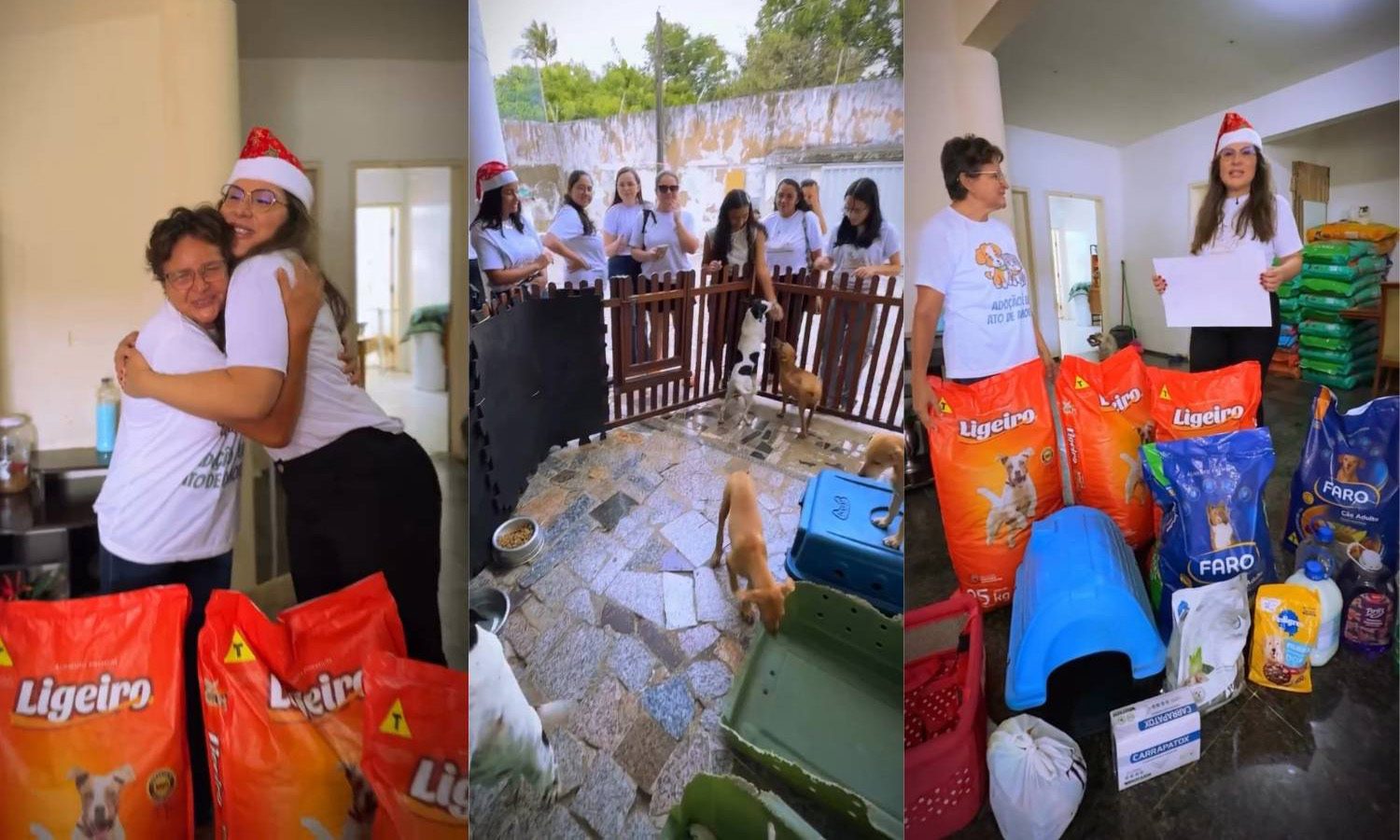 Clínica Mirlene Borges consolida impacto social com Projeto Mover o Bem e beneficia causas humanas e animais em Fortaleza